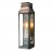 Tivoli Outdoor Slim Wall Lantern Tall