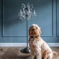 Wellington Chandelier Floor Lamp